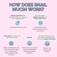 Korean Skincare Is...Snail Mucin Hydrating Serum